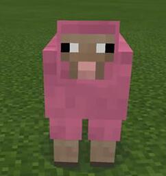 Who did Thatonetomahawk prank with pink sheep? ( Put their channel )