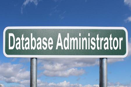 What is the primary function of a database management system?