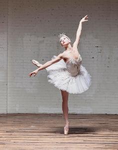 Who choreographed the ballet 'Swan Lake'?