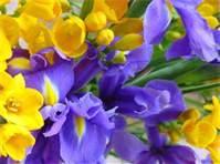 What flowers do u like ?