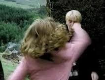 which one of these few reasons is why hermione punches malfoy on her way down to hagrids hut with Ron and harry?