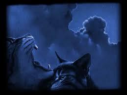 All of the ThunderClan cats fight off the ShadowClan cats. Then Bluestar, ThunderClan's leader, walks up to you. Then, you