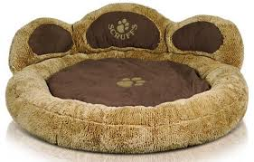 What type of dog would look best in this bed for an advert?