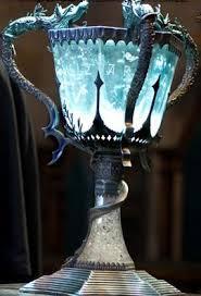 In the Goblet of Fire, who gets to the Triwizard Cup?