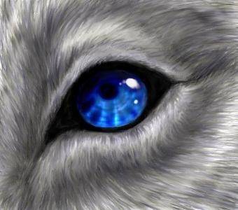 what color of wolf eyes do u have