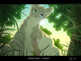 Who fished out Jayfeather and his stick the second time it drowned? Capital for name