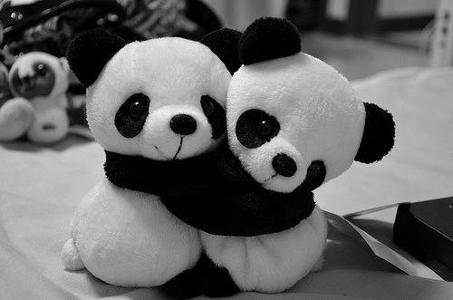 Finally do pandas hug?