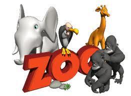 When I say Zoo what do you think of?