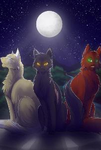 Your clan is going to the gathering and you meet some cats from another clan, what do you think of them?
