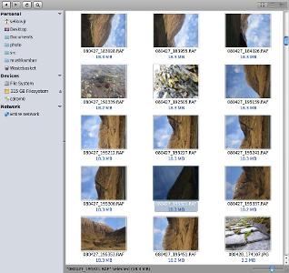 Which of the following is an example of an raw image format?