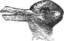 The hardest question of the world: Duck or rabbit