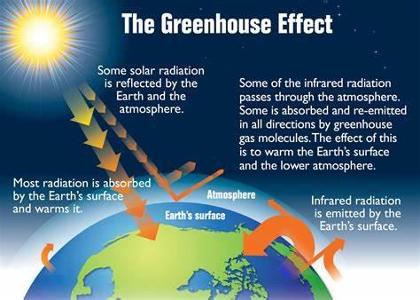 Which of the following is a greenhouse gas?