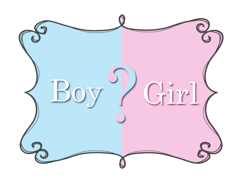 Are you a boy or a girl?