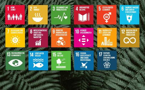 Which of the following is an example of Education for Sustainable Development in action?