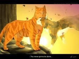 Who does Firestar love?