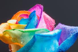 Whats Your Fave Colour?