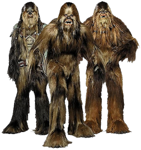 what was the name of the wookiee jedi