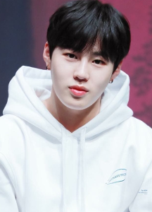 Who is this from Wanna One? (Stage name)