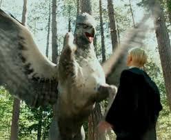 Hagrid warns his care of magical creatures class that it is extremely dangerous to insult a hippogriff,Draco who wasn't listening insults the hipprogriff on which they are studying and gets attacked straight away,what was it that Draco called teh hipprogriif while insulting him?