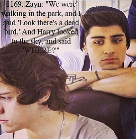 who is your one direction boyfriend quiz quotev who is your one direction boyfriend quiz quotev