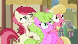 what are the flower ponies names ?