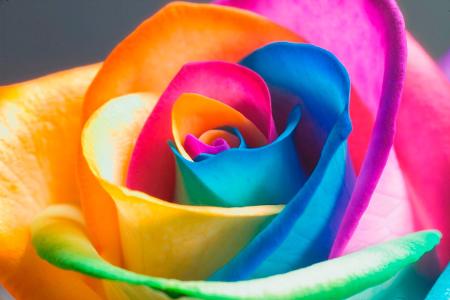 What colour of the rainbow are you? - Personality Quiz
