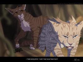 What did Jayfeather train as?
