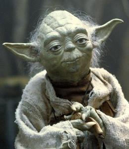 what color and style hair did yoda have when he was young