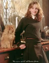 Hermione's Cat's name please?