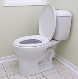 This is a picture of a toilet. There is nothing to "Get", no cryptic undertone. It is simply an arbitrary image that I have made you view. Now that you have, you can never un-see it. It is done, and whether or not you answer "yes", or conversely, "No", it is a thing that is done and cannot be reversed.