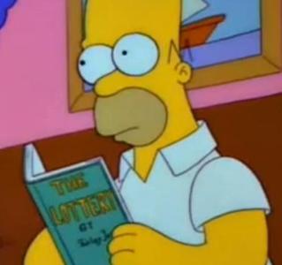 What was the first book that Homer threw in the fire?