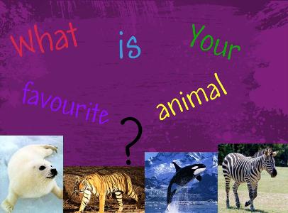 pick an animal?
