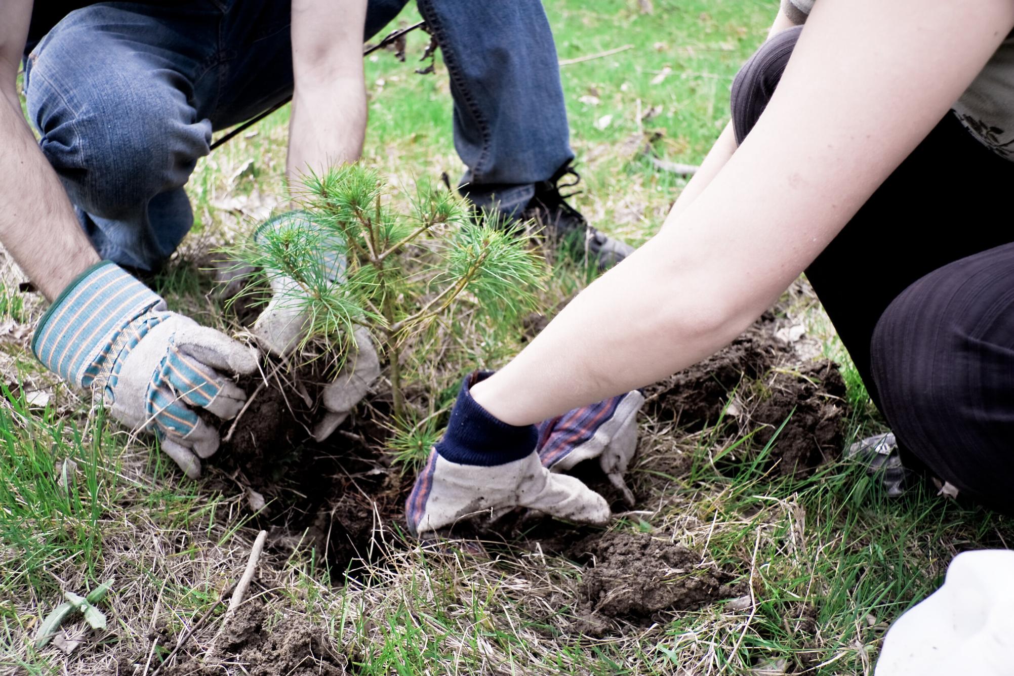 What is the role of Education for Sustainable Development in addressing climate change?