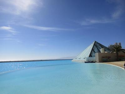 Which company designed the World's Largest Swimming Pool?