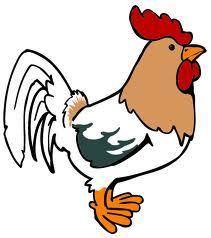If a rooster is on then roof and lays an egg, which way would the egg fall?