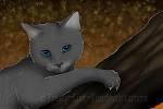 Did Cinderpelt know she was going to die?