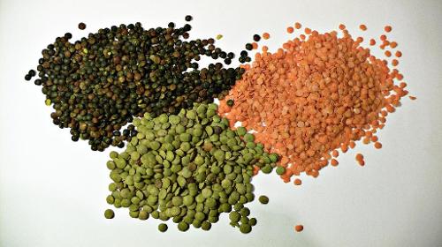 Red lentils are a type of: