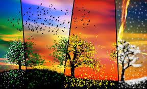 Summer, Autumn, Winter, Spring