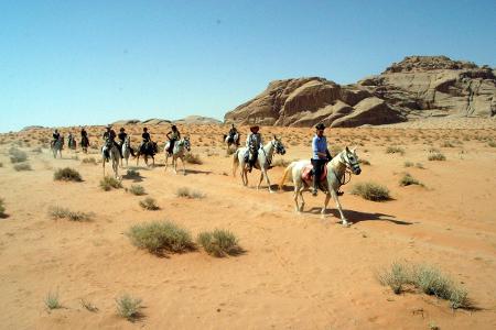 A friend of yours suggests you to go on a horse trip in the desert, what is your reaction ?