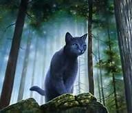 Who has jayfeather as there brother