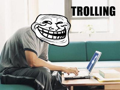 Someone starts trolling you on the internet. What do you do?