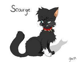 What was Scourge's kittypet name?