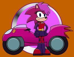 You wake up to find yourself on the back of a pink motorcycle. you: Where am I....? The pink hedgehog was driving it. Sonia: Sonic couldn't carry ALL of us, so I took you on my bike. You: Who are you? Sonia: My names Sonia, what's yours?
