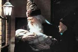 #1 Who brought Harry to the Dursley's?