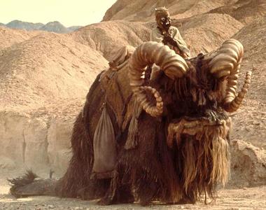 What creatures did the "Sand People" ride?
