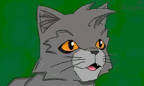 What is Graypaw's warrior name?  Use a capital letter