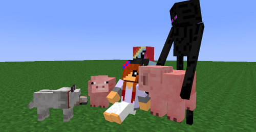 Do you have pets in mine craft?