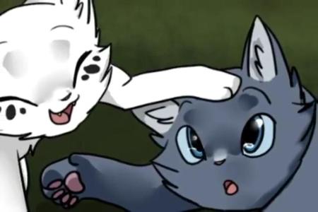 If you lived a happy wall you were yong like snowfur and bluestar and then your life fell apart what would you do?