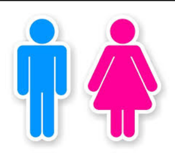 What gender are you ?