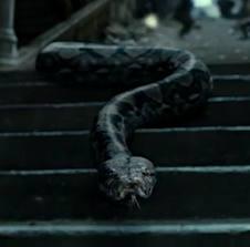 7) What is the name of Voldemort’s snake?